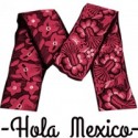 Hola Mexico MX